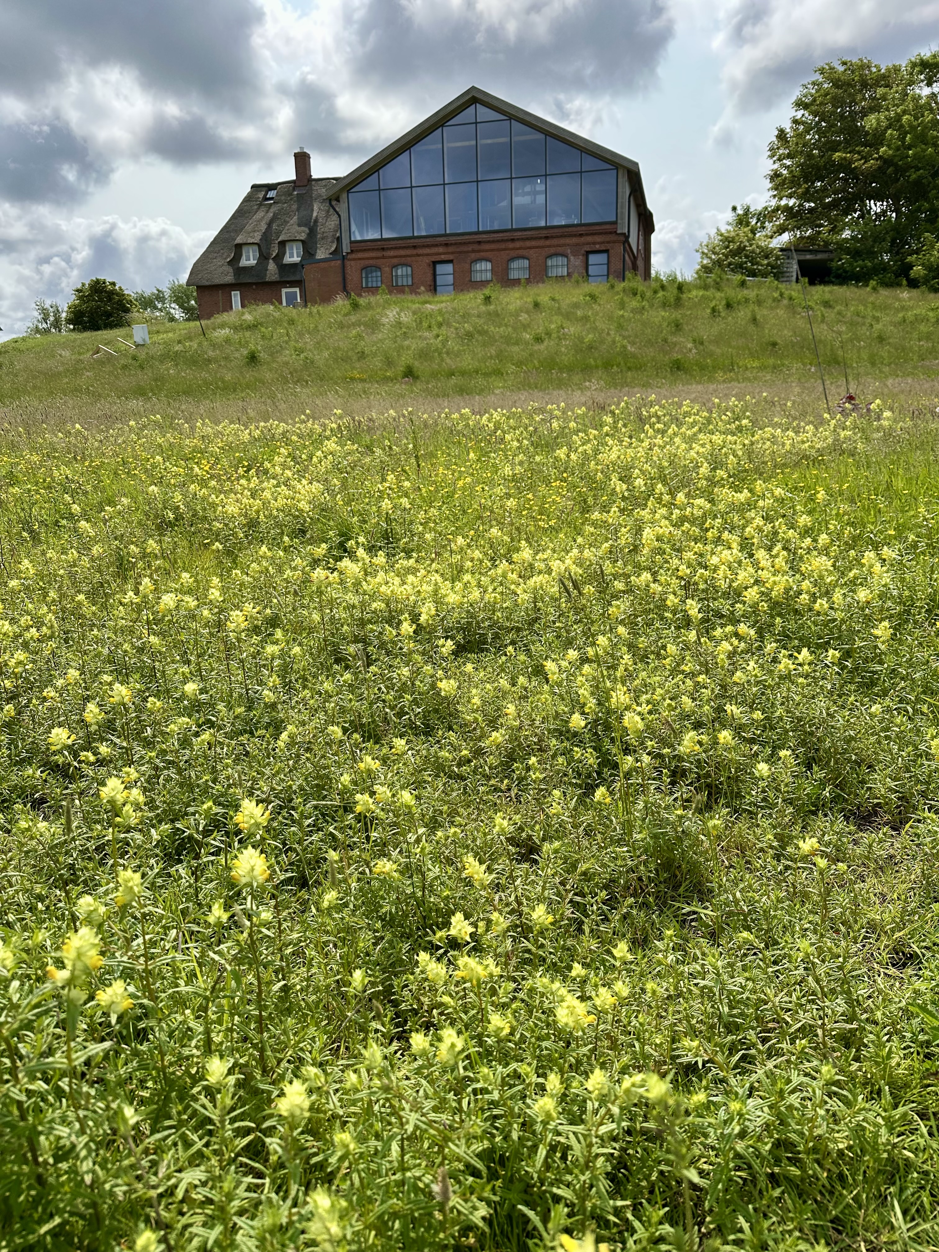 Catharinenwarft